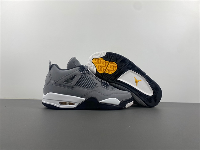 Jordan 4 Retro Cool Grey (2019) 308497-007